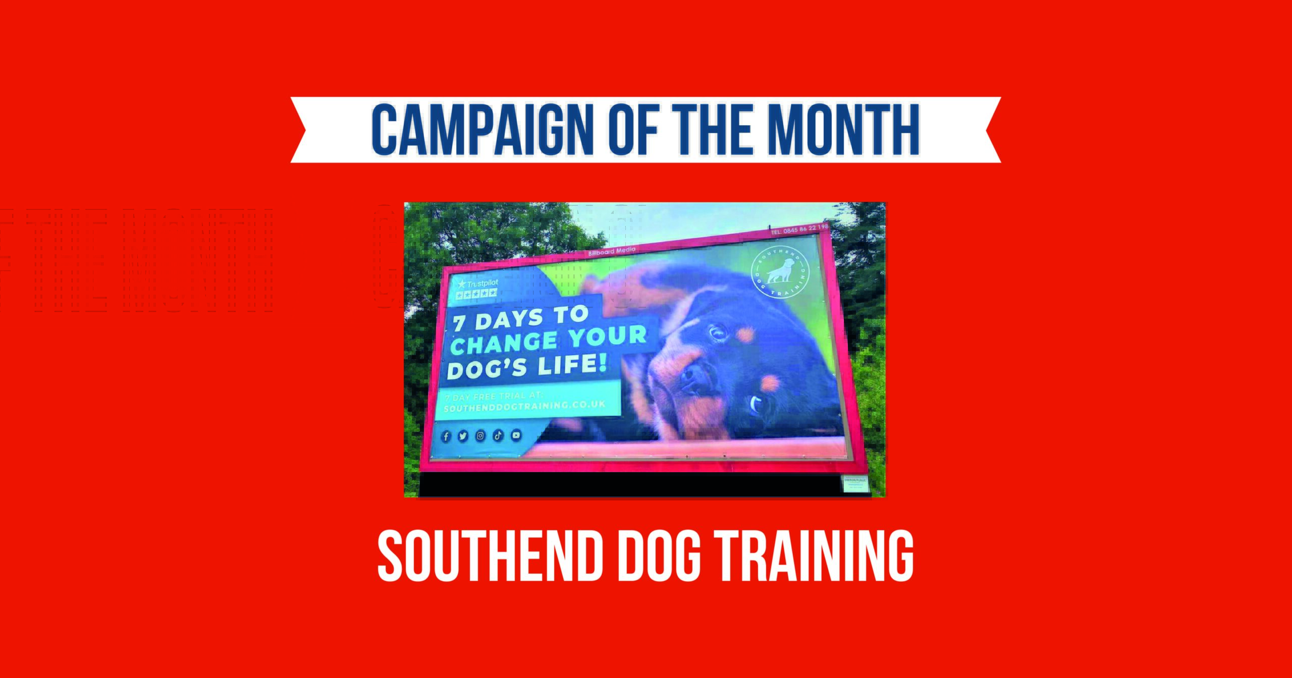 July’s Campaign of the Month winner – Southend Dog Training