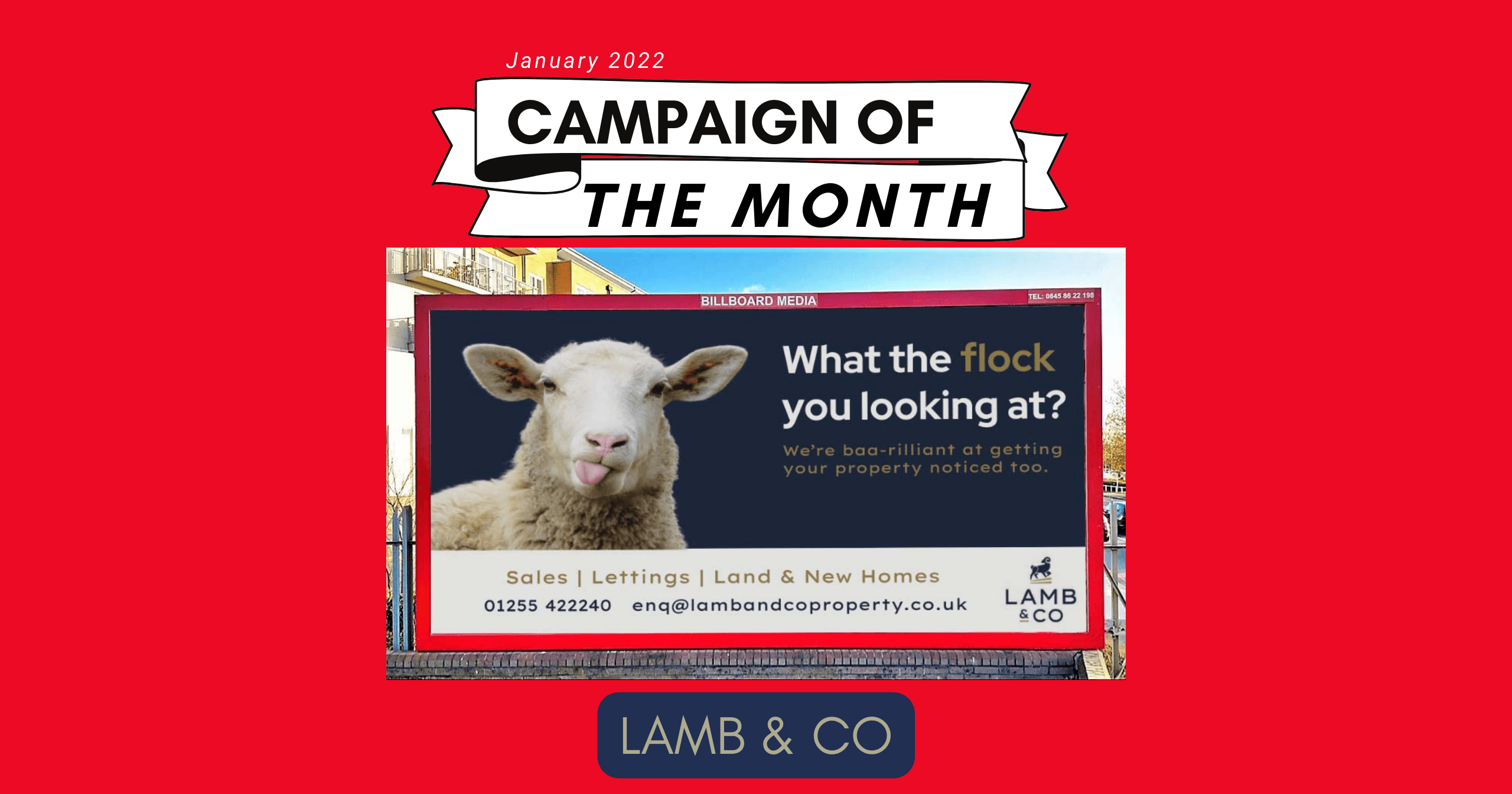 Lamb & Co_Estate_agent_Clacton_Campaign Lamb & Co Clacton
